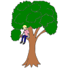 Climb a Tree Picture