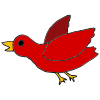 Red+Bird Picture