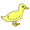 yellow+duck Picture