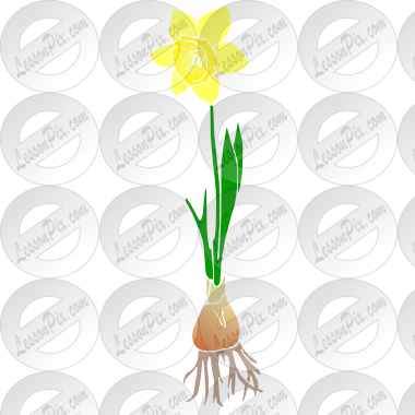 Daffodil Stencil