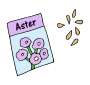 Aster Seeds Picture