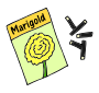 Marigold Seeds Picture