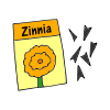 Zinnia Picture