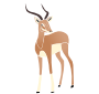 Gazelle Stencil