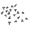 Flock+of+birds Picture