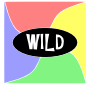 Wild Card Stencil