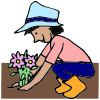 gardening Picture