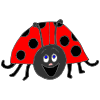 Excited Ladybug Picture