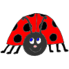 Happy+Ladybug Picture