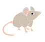 Mouse Stencil