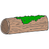 log Picture