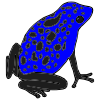 The+blue+frog Picture