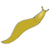 Slug Picture