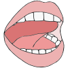 Open+Lips+-+Tongue+Tip+Up Picture
