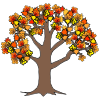 The+tree_s+leaves+turn+orange_+and+red_+and+brown. Picture