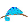 Blue+Chameleon Picture