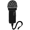 mic Picture