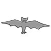 bat Picture