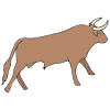 Bull Picture