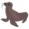 Seal+Walk Picture
