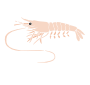 Shrimp Stencil