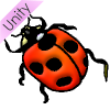 Lady Bug Picture