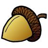 acorn Picture