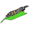 Crawl+like+a+Caterpillar Picture