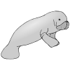 M+is+for+manatee. Picture