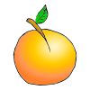 apricot Picture