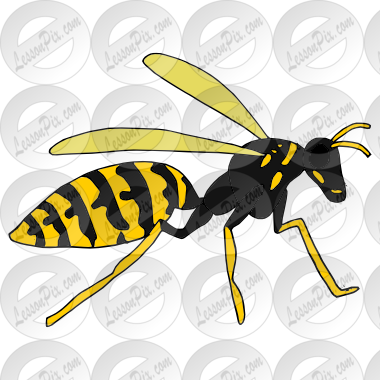 Wasp Picture