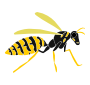Wasp Stencil