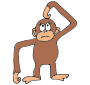 Confused Monkey Picture