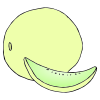 Melon Picture