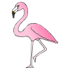 Pink+flamingoes+live+in+Florida. Picture