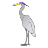 egret Picture