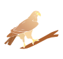 Falcon Stencil