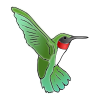 +hummingbird Picture
