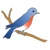 The+bird+is+blue. Picture
