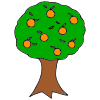 Orange Tree Picture