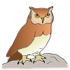 The+owl+swooped. Picture