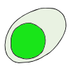 green+egg Picture