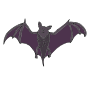 Bat Picture