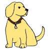 Dog_s+Name Picture