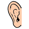 Hearing Picture
