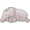 Sleeping Baby Elephant Picture
