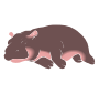 Sleeping Baby Hippo Stencil