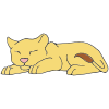 Sleeping Lion Cub Picture