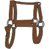 H+is+for+halter.+Horses+wear+halters+on+their+heads. Picture