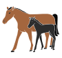 Horses Stencil